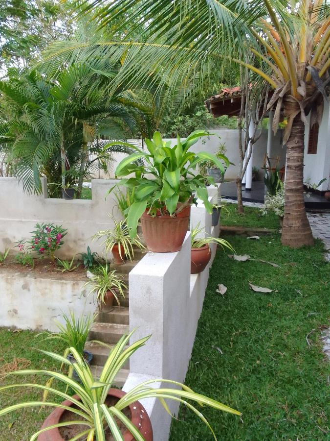 Peacock Garden Bed and Breakfast Tangalle Buitenkant foto